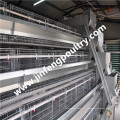 Équipement automatique de volaille de haute qualité Cage de poulet pour calques (9LDT-5-1L0-25)